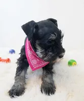 processed/3b95b530-33bd-4566-8206-47a73ff5ee2c/listing/e87a0cb2-52f5-47f9-94a1-0b94cbfe8b26/83f8f06d-1613-40dd-8c9b-e61c44157b62