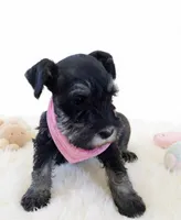 processed/3b95b530-33bd-4566-8206-47a73ff5ee2c/listing/e87a0cb2-52f5-47f9-94a1-0b94cbfe8b26/a9612ab1-3ef0-41bd-93c8-c0e5fac0e5f3