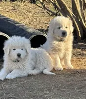 processed/3ba22ca9-b468-4070-9a42-dbbea423bffe/facility/36fa4918-f314-4aee-8c0a-b03bbe5d09d0