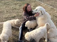 processed/3ba22ca9-b468-4070-9a42-dbbea423bffe/facility/473a8041-c7d8-4473-b45c-6177a227f94b