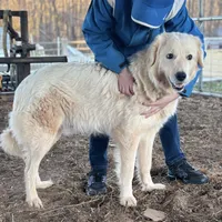 processed/3ba22ca9-b468-4070-9a42-dbbea423bffe/facility/6c9730f6-fe40-4251-b748-222424bca062