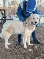 processed/3ba22ca9-b468-4070-9a42-dbbea423bffe/facility/6c9730f6-fe40-4251-b748-222424bca062