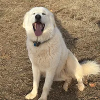 processed/3ba22ca9-b468-4070-9a42-dbbea423bffe/facility/c15a7119-245e-4526-8cc6-4f9e037783ad