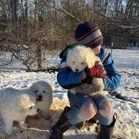 processed/3ba22ca9-b468-4070-9a42-dbbea423bffe/facility/c164e2d6-becd-4daa-9c1d-ef27786c4127