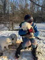 processed/3ba22ca9-b468-4070-9a42-dbbea423bffe/facility/c164e2d6-becd-4daa-9c1d-ef27786c4127