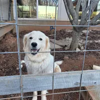 processed/3ba22ca9-b468-4070-9a42-dbbea423bffe/facility/d07d6ae8-07dd-4fa3-946e-f88ac7bbb395