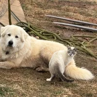 processed/3ba22ca9-b468-4070-9a42-dbbea423bffe/facility/e1597eaf-4d21-40a2-b814-09392260fa0b