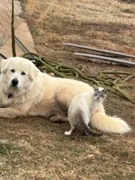 processed/3ba22ca9-b468-4070-9a42-dbbea423bffe/facility/e1597eaf-4d21-40a2-b814-09392260fa0b