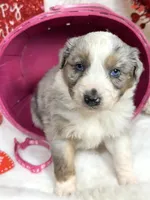 processed/3ba58ba6-50c5-4dd1-855b-b503137877c5/listing/012c8268-5126-4ea2-b864-39ce05fac502/775d03c3-b66a-4da3-bf7c-000d02746f50