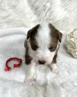 processed/3ba58ba6-50c5-4dd1-855b-b503137877c5/listing/1d20fade-759e-4dc8-a0dc-62eec4f1f37b/0fa29103-70b3-4a9c-820c-196f2b6c6acb