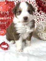 processed/3ba58ba6-50c5-4dd1-855b-b503137877c5/listing/1d20fade-759e-4dc8-a0dc-62eec4f1f37b/9e5a75a7-a72e-4f7b-a800-5b989436012c