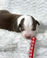 processed/3ba58ba6-50c5-4dd1-855b-b503137877c5/listing/1d20fade-759e-4dc8-a0dc-62eec4f1f37b/da140b54-372d-4c4d-b6fe-771bfdcc8fb8