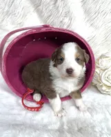 processed/3ba58ba6-50c5-4dd1-855b-b503137877c5/listing/1d20fade-759e-4dc8-a0dc-62eec4f1f37b/f3d227a6-257f-46f1-8217-58a30fde1824