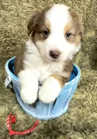 processed/3ba58ba6-50c5-4dd1-855b-b503137877c5/listing/1d20fade-759e-4dc8-a0dc-62eec4f1f37b/ff2b825a-e857-421e-9fd9-2c22c35794dc