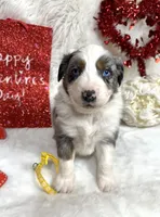 processed/3ba58ba6-50c5-4dd1-855b-b503137877c5/listing/51694777-c7b7-4eb3-9f88-fe4514772081/4c849d0f-a7af-492f-bfba-97ff9272371f