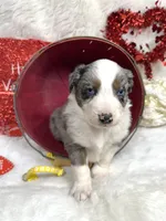 processed/3ba58ba6-50c5-4dd1-855b-b503137877c5/listing/51694777-c7b7-4eb3-9f88-fe4514772081/6643ef2c-9b29-4b8a-b065-7ceb43e58a44