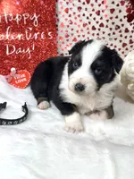 processed/3ba58ba6-50c5-4dd1-855b-b503137877c5/listing/7a85be86-76d2-4a47-a8a6-7e34c84d752b/7367635b-1c35-4791-80f9-a91a0527b612