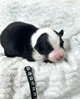 processed/3ba58ba6-50c5-4dd1-855b-b503137877c5/listing/7a85be86-76d2-4a47-a8a6-7e34c84d752b/e8cde73a-196c-45b5-a5a6-179a91648dda