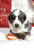 processed/3ba58ba6-50c5-4dd1-855b-b503137877c5/listing/bea9780c-66d3-4916-a5eb-fcf911f48fa2/dbf44914-c635-4b46-a257-c0ca93e69141