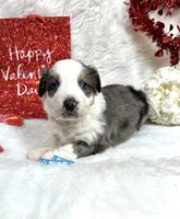 processed/3ba58ba6-50c5-4dd1-855b-b503137877c5/listing/e736fa0b-6e8c-43cb-9678-abfb1a9324c1/53c606aa-43ac-4b05-947b-43296d5ee5ca