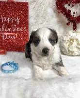 processed/3ba58ba6-50c5-4dd1-855b-b503137877c5/listing/e736fa0b-6e8c-43cb-9678-abfb1a9324c1/9fe90db1-e178-402a-b917-1380ed523c40