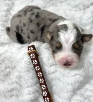 processed/3ba58ba6-50c5-4dd1-855b-b503137877c5/listing/f0c1f500-d267-48aa-90ec-eaac471cf8ec/1a407da1-c48b-459f-ac1d-a090becdd674