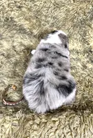 processed/3ba58ba6-50c5-4dd1-855b-b503137877c5/listing/f0c1f500-d267-48aa-90ec-eaac471cf8ec/1a630254-6729-4f8a-be31-3dd9faef2057