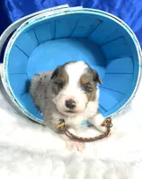 processed/3ba58ba6-50c5-4dd1-855b-b503137877c5/listing/f0c1f500-d267-48aa-90ec-eaac471cf8ec/1d4aaf6b-1e0d-4a46-b67d-2ad616651f13