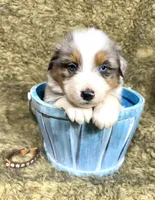 processed/3ba58ba6-50c5-4dd1-855b-b503137877c5/listing/f0c1f500-d267-48aa-90ec-eaac471cf8ec/4ec9052a-7c0c-4069-a010-c5ce5e44a024