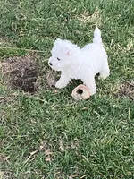 processed/3ba9257d-41b2-4780-9e3e-757142e9fa6e/listing/36ff9b90-8fbc-4b20-903c-7e2addeb4fc3/a7d52b57-d7fa-4280-a8c3-545b0e0500ba