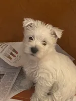 processed/3ba9257d-41b2-4780-9e3e-757142e9fa6e/listing/e6699112-df20-478c-a36b-8ab069c6a1c1/0035165c-cead-4c1b-8a04-67ecffb6b924