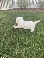 processed/3ba9257d-41b2-4780-9e3e-757142e9fa6e/listing/e6699112-df20-478c-a36b-8ab069c6a1c1/57ac2465-c6cd-4554-874f-4abd856af6bb