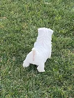 processed/3ba9257d-41b2-4780-9e3e-757142e9fa6e/listing/e6699112-df20-478c-a36b-8ab069c6a1c1/76860ac6-0527-4f2d-b496-4e450390530c