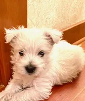 processed/3ba9257d-41b2-4780-9e3e-757142e9fa6e/listing/e6699112-df20-478c-a36b-8ab069c6a1c1/b42d4df0-68e8-49b9-9f5a-974dc68f1bf4