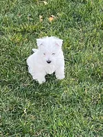 processed/3ba9257d-41b2-4780-9e3e-757142e9fa6e/listing/f6a574dc-9d97-458c-98e2-293d7e1bc013/235c5c91-3dda-4411-bedf-b36bce5b31b9