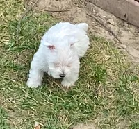 processed/3ba9257d-41b2-4780-9e3e-757142e9fa6e/listing/f6a574dc-9d97-458c-98e2-293d7e1bc013/7166b4cc-5818-4301-be04-03179cc64625