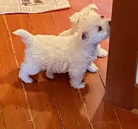 processed/3ba9257d-41b2-4780-9e3e-757142e9fa6e/listing/f6a574dc-9d97-458c-98e2-293d7e1bc013/b245cbbf-7b40-4d34-9d5f-cc080f905d57