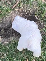 processed/3ba9257d-41b2-4780-9e3e-757142e9fa6e/listing/f6a574dc-9d97-458c-98e2-293d7e1bc013/c1e86944-8e5a-40dc-a07d-6ae9e921afcf