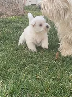 processed/3ba9257d-41b2-4780-9e3e-757142e9fa6e/listing/f6a574dc-9d97-458c-98e2-293d7e1bc013/cb7c0690-746f-4c14-b052-0e6bf2fb2e62