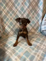 processed/3baa2244-3723-46d0-b078-d0b0db71d170/listing/0842e8f2-593b-4956-a42c-d9f231178f21/5265d105-65c7-4a4e-8288-5909dd66e27f