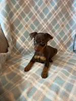 processed/3baa2244-3723-46d0-b078-d0b0db71d170/listing/0842e8f2-593b-4956-a42c-d9f231178f21/57172386-9e4f-47c0-9c50-18b6d57b72bb