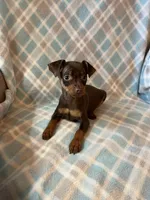 processed/3baa2244-3723-46d0-b078-d0b0db71d170/listing/0842e8f2-593b-4956-a42c-d9f231178f21/fce8caf1-ce25-498f-87d8-7f5a3573ebe1