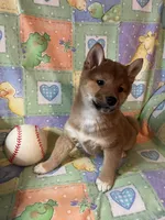 processed/3baa2244-3723-46d0-b078-d0b0db71d170/listing/140e2585-4f93-4fcf-b281-cff053e09ab1/0b2e212f-881a-466d-8ea5-d87979ad178f