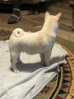 processed/3baa2244-3723-46d0-b078-d0b0db71d170/listing/5f962e61-cac6-4754-b3b4-54fadae7bf00/6f17751c-0dda-4d80-ba9a-716627676ba9