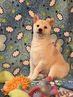 processed/3baa2244-3723-46d0-b078-d0b0db71d170/listing/5f962e61-cac6-4754-b3b4-54fadae7bf00/b9344e79-dc3c-43c3-8cb1-9defd3192aec