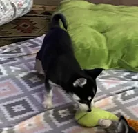 processed/3baa2244-3723-46d0-b078-d0b0db71d170/listing/7018fd9c-9bf6-4bf1-8958-5b9c109cb0ea/d425bc3e-947b-4157-9d1c-0f8ca7cf2332