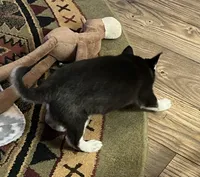 processed/3baa2244-3723-46d0-b078-d0b0db71d170/listing/7018fd9c-9bf6-4bf1-8958-5b9c109cb0ea/faf67b01-315e-4718-a21c-1be49828e07c