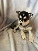 processed/3baa2244-3723-46d0-b078-d0b0db71d170/listing/b506e09a-d81e-435b-9a82-e685059685d2/02bafd0d-7013-4d33-ac66-9ec561bdd854