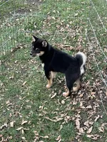 processed/3baa2244-3723-46d0-b078-d0b0db71d170/listing/b8974082-d6b0-4677-b5a1-9b1d92abd370/13ef8a28-4a8b-43d9-8b59-fe4825421310