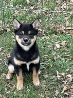 processed/3baa2244-3723-46d0-b078-d0b0db71d170/listing/b8974082-d6b0-4677-b5a1-9b1d92abd370/31afac92-f8b1-4b43-926b-b429cbcfd0d6